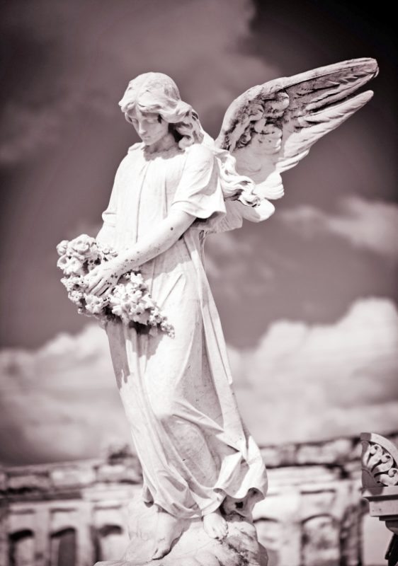 Angel in Cemetery